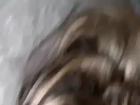 Blowjob